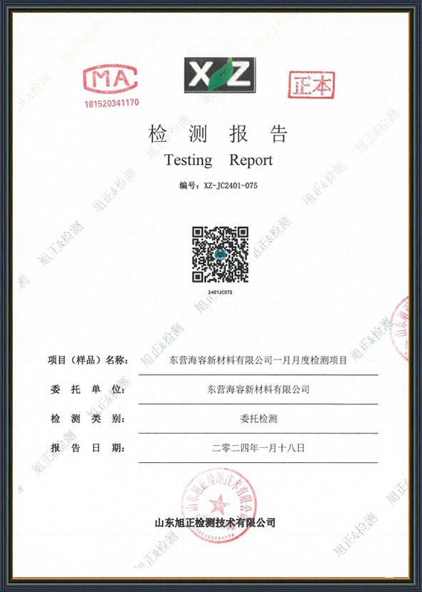 檢測報告